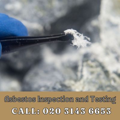 Comprehensive Asbestos Inspection and Testing Services in Northumberland Heath